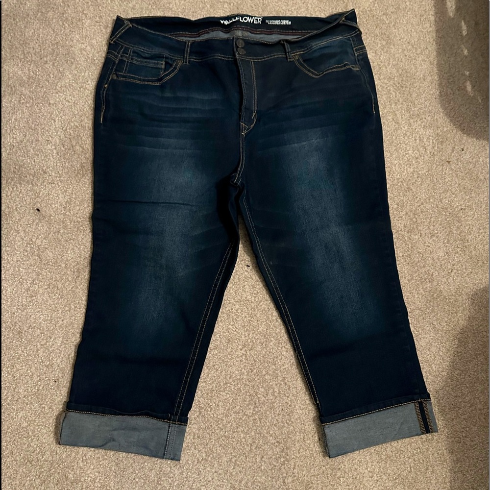 Women’s Plus Size Wallflower Capris size 24